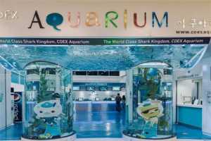 首尔COEX水族馆