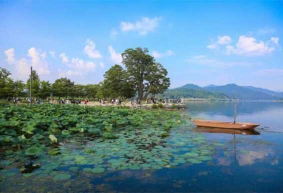 杨平郡两水里
