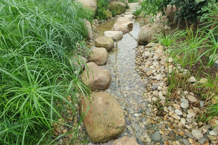 花卉5