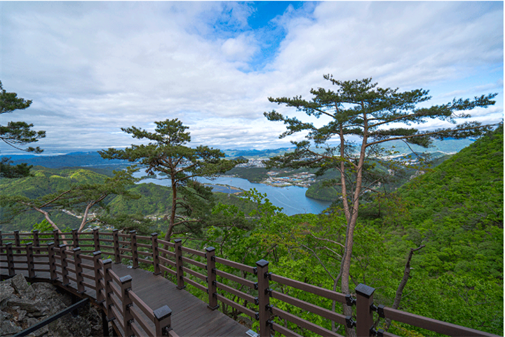 展望台6