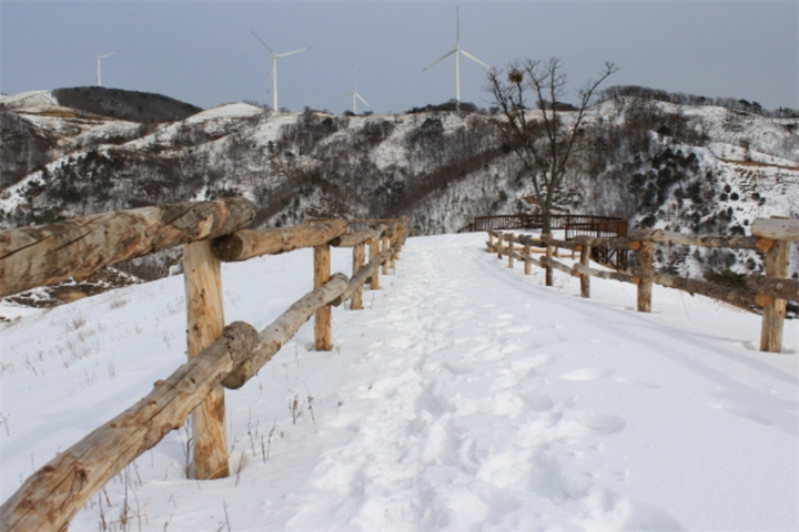 雪花村2