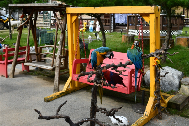 zoo公园2
