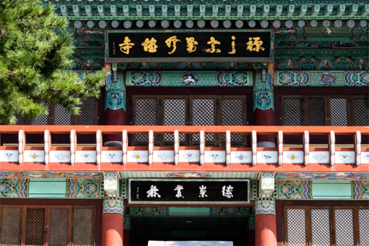 大雄殿5