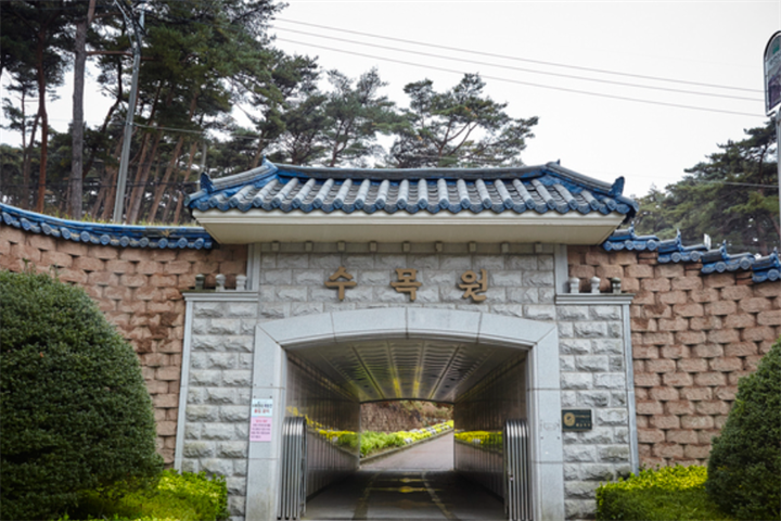 树木园2