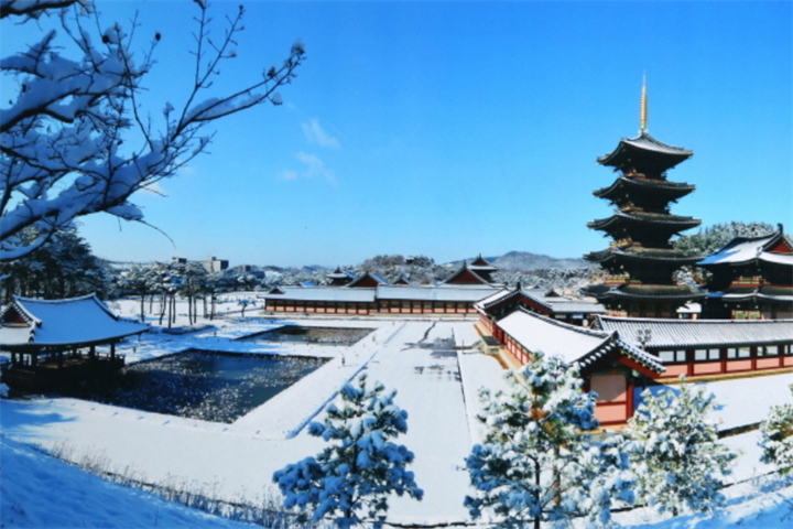 园区4