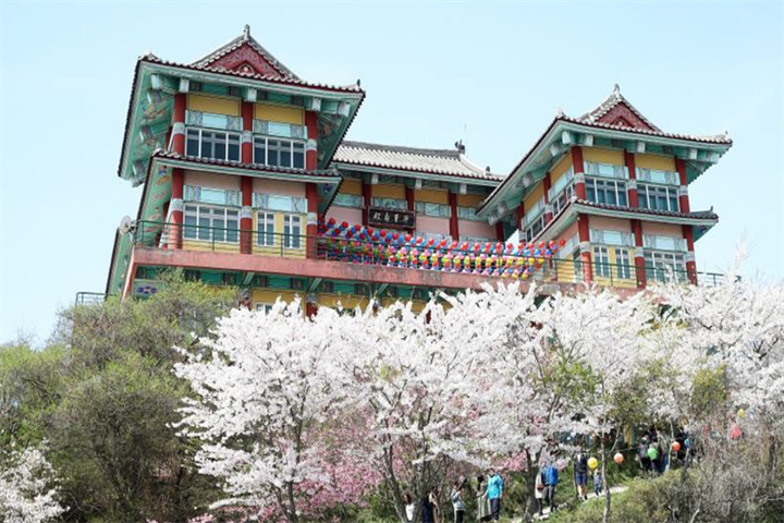 安眠庵1