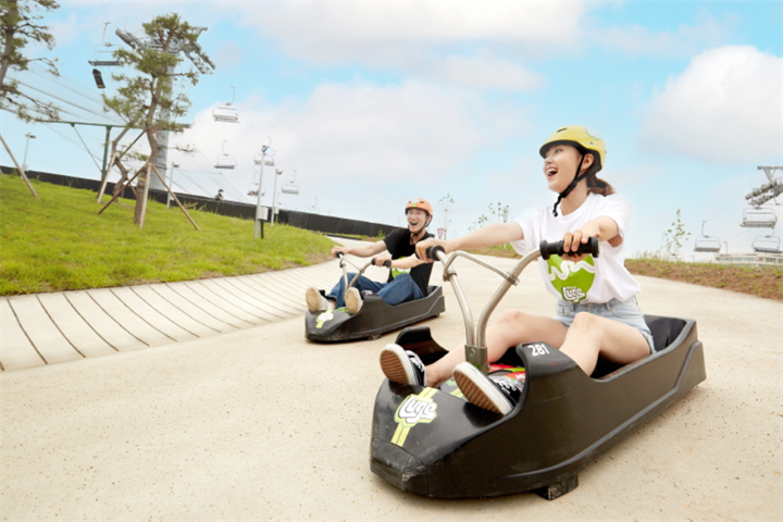 luge2
