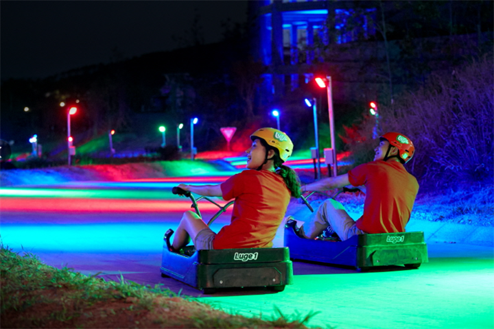 luge3