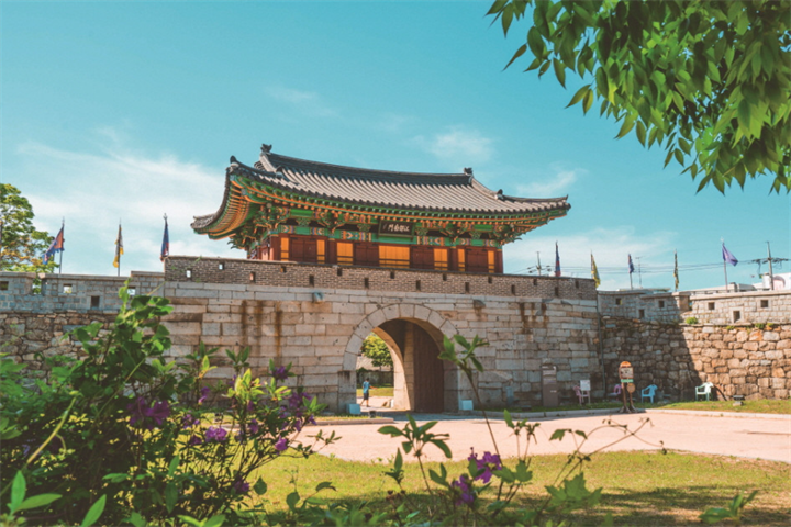 高丽