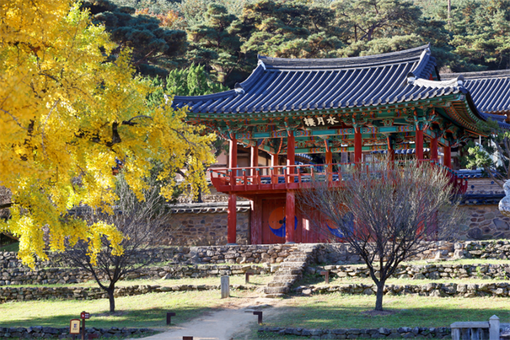 道东5