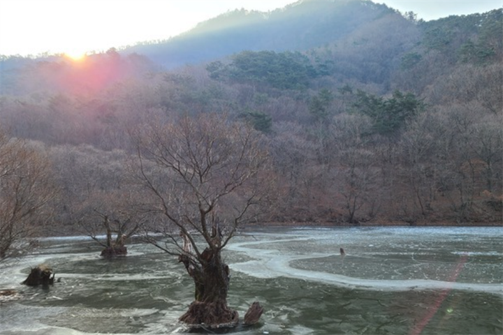 注山池5