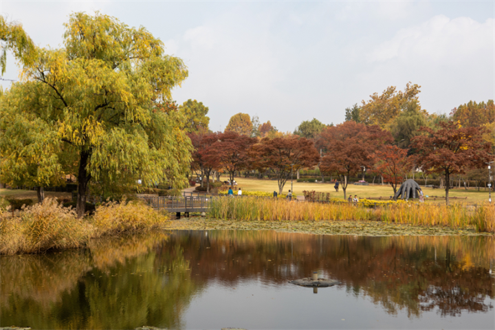 龙山公园1