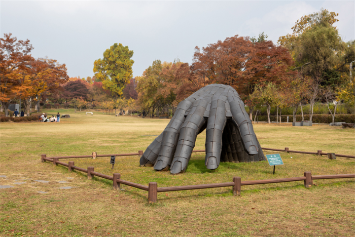 龙山公园2