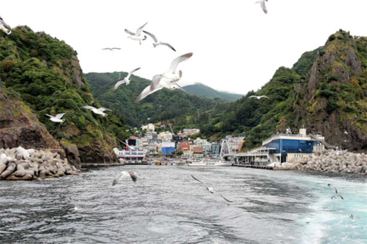 郁陵岛5