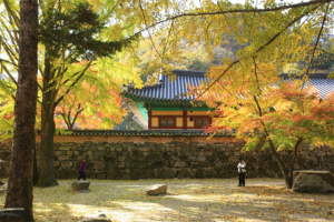 井邑内藏山国立公园