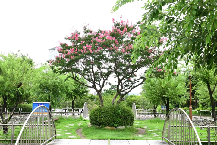 草坪广场3