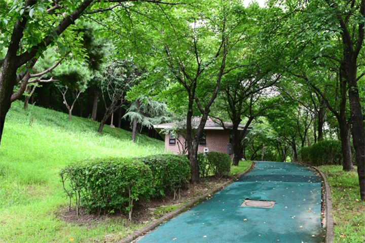 草坪广场2