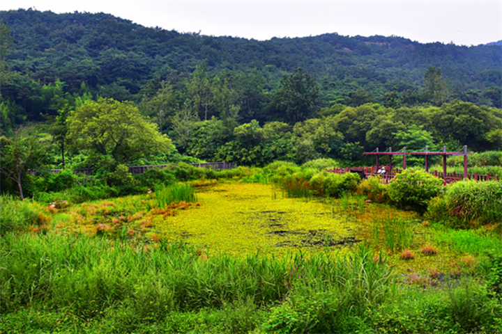 湿地3