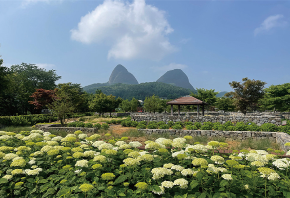 镇安马耳山道立公园