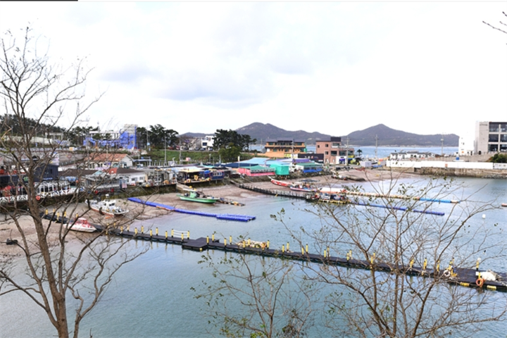 庄子岛4
