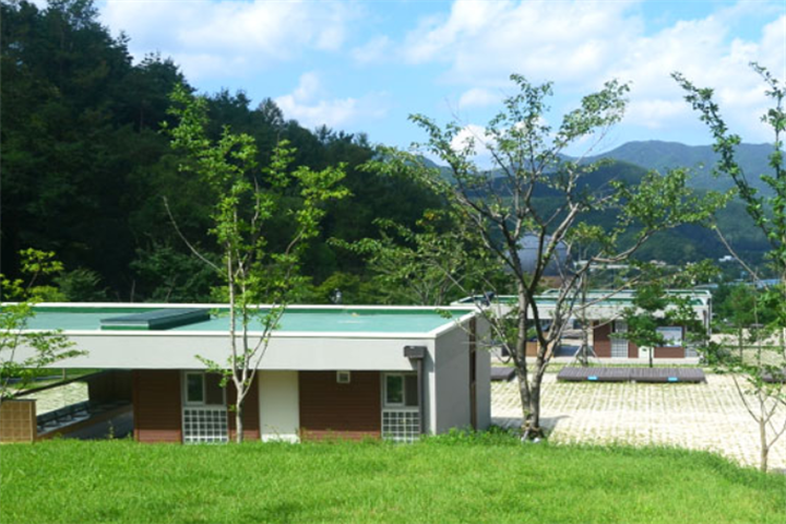 野营1