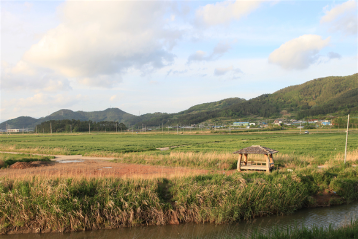 园内6