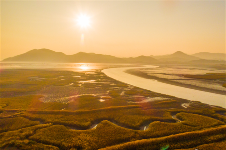 顺天湾湿地与国家庭园