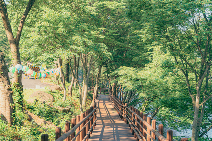 寺4