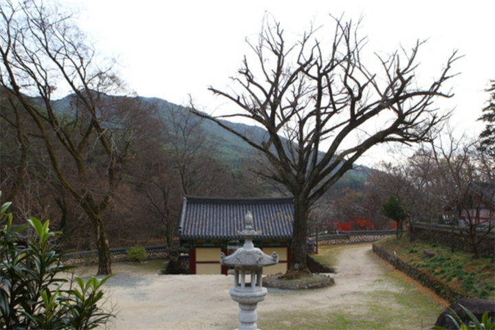 庙2