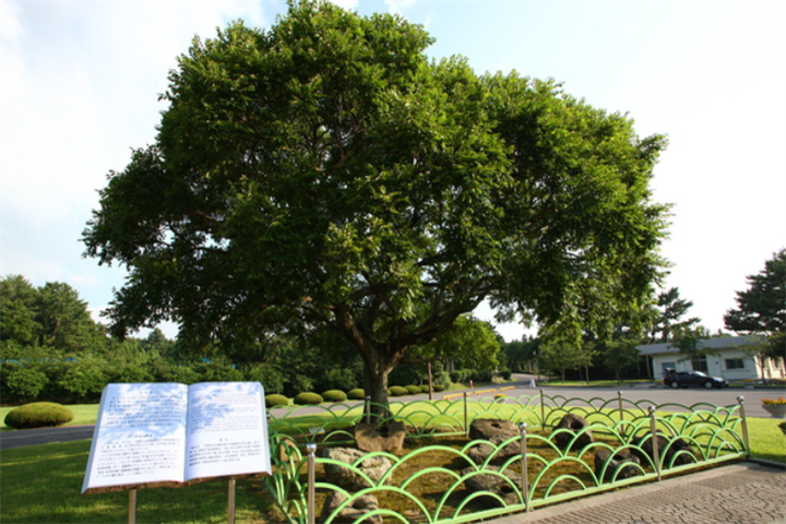 16偶来6