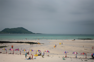 济州偶来