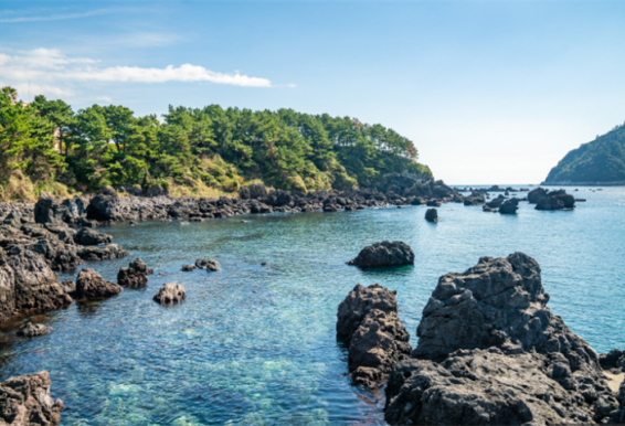 济州偶来
