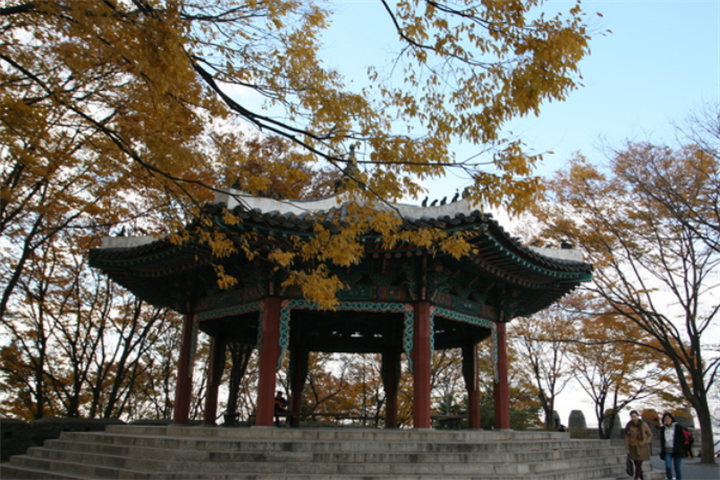 南山公园2