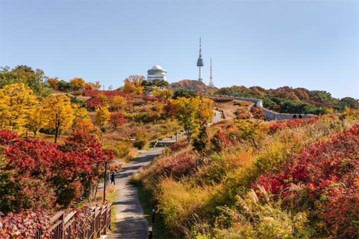 南山1
