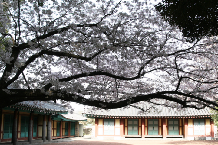 济州大学2