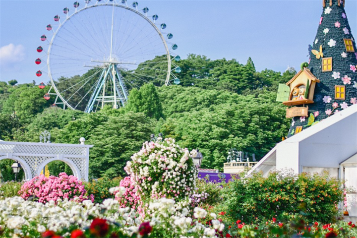花园1