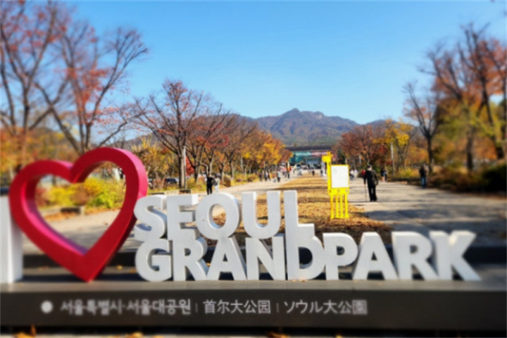 首尔大公园一日游赏花攻略