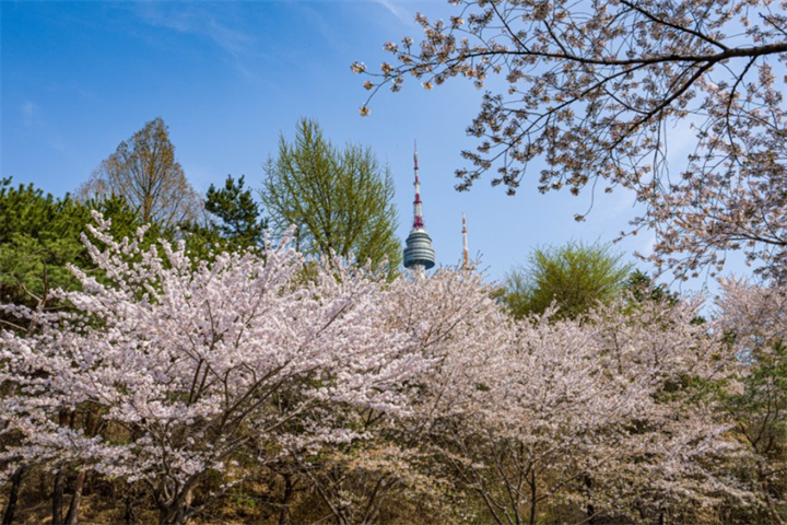 南山1