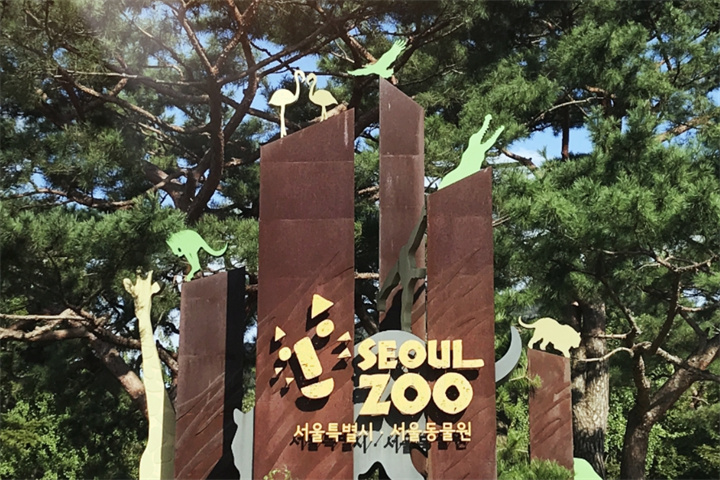 动物园1