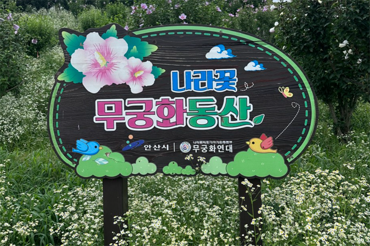 木槿花乐园