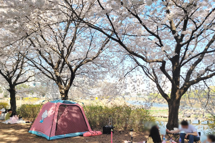 野营1