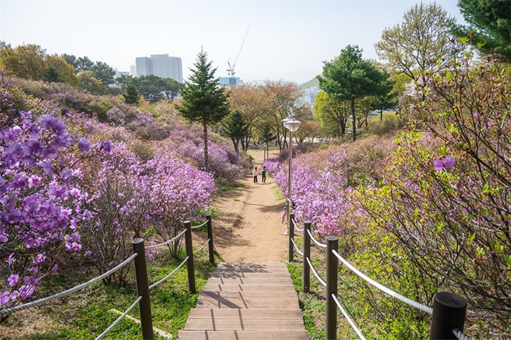 花2