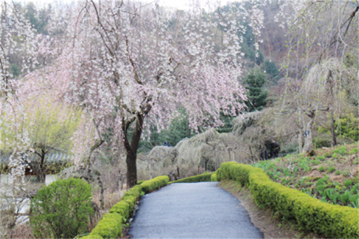 能手庭院