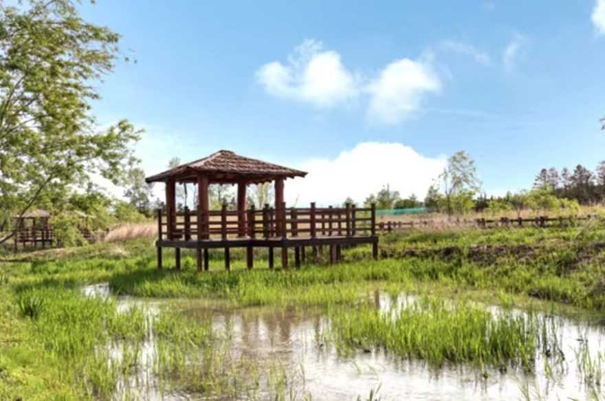 生态公园1