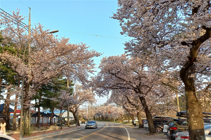 咖啡店2