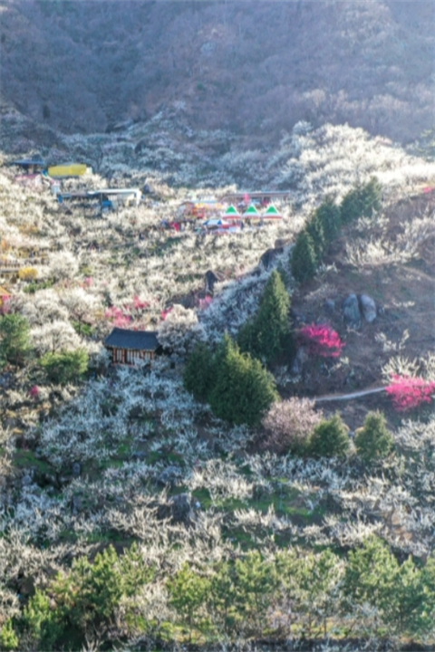 庆典1 庆典1