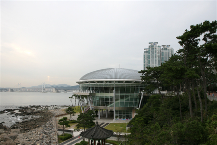 冬柏4