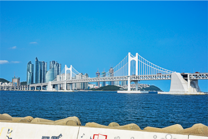 釜山冬柏公园&广安大桥&西面一日游