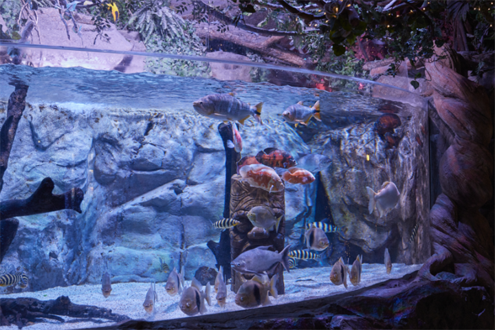 釜山天际线斜坡滑车&青沙浦&SEA LIFE水族馆一日游