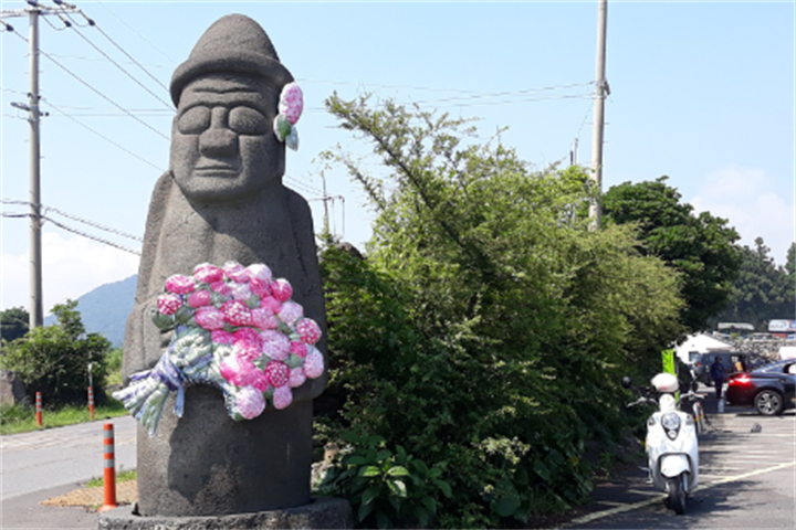山茶花4